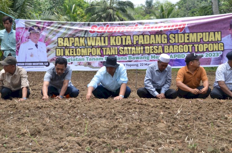 Wali Kota Hadiri Penanaman Perdana Bawang Merah