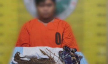 Edarkan Daun Ganja Di Kelurahan Sitamiang Baru Seorang Pria Akhirnya Dibekuk Polisi