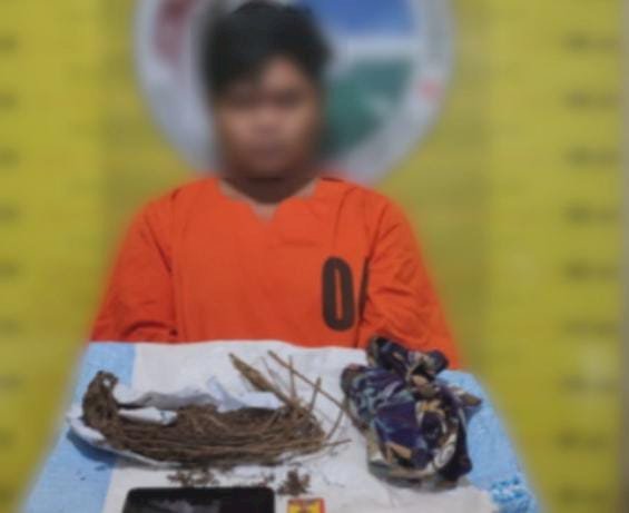 Edarkan Daun Ganja Di Kelurahan Sitamiang Baru Seorang Pria Akhirnya Dibekuk Polisi