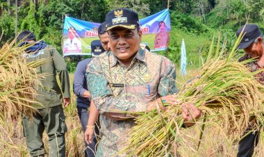 Pj. Walikota Padangsidimpuan Panen Padi Sawah dari Kelompok Karya Tani di Kelurahan Silandit