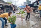GEMPAR Gelar Penanaman 1000 Pohon Dijalan Lintas Provinsi, Kecamatan Panai Hulu