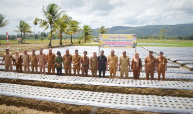 Pemko Padangsidimpuan Hadiri Tanam Bawang Perdana di Desa Goti