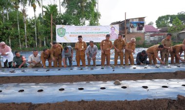 Tanam Cabai 10 Ha Menjadi Salah Satu Langkah Konkrit Pj. Walikota Letnan Kendalikan Inflasi Daerah